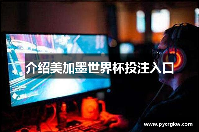 介绍美加墨世界杯投注入口
